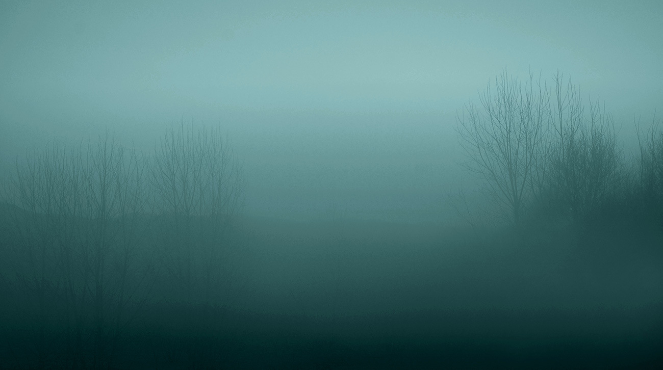 Carta da parati di colore verde a tema paesaggio, con alberi avvolti nella nebbia