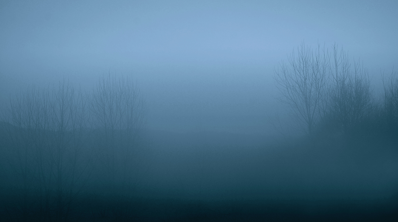 Carta da parati di colore blu a tema paesaggio, con alberi avvolti nella nebbia