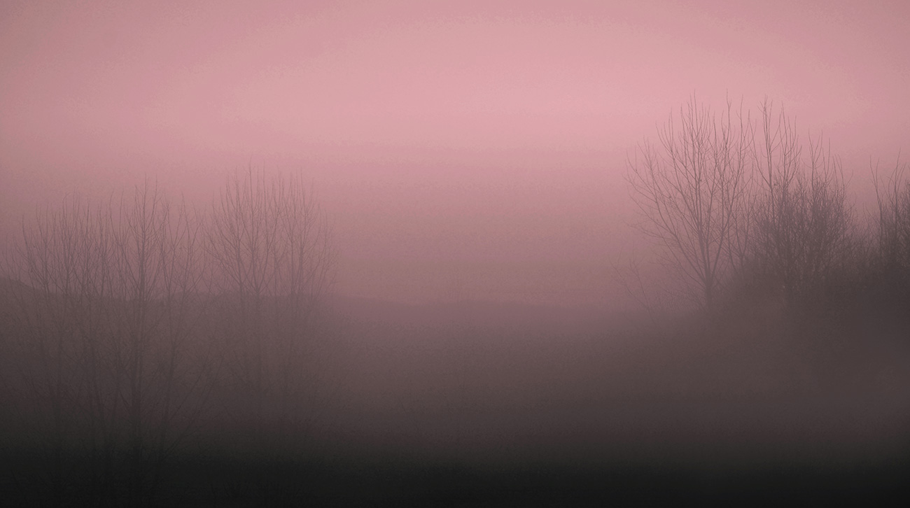 Carta da parati a tema paesaggistico di colore rosa, con alberi avvolti nella nebbia