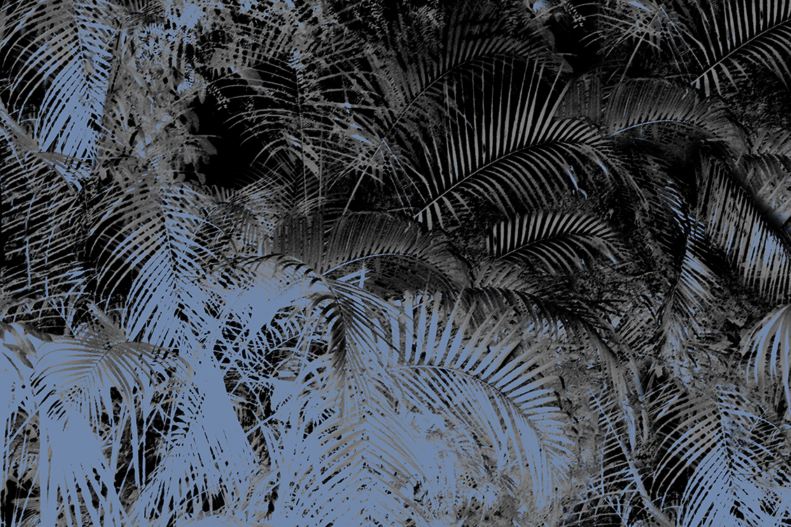 Tropical wallpaper with palm leaves in blue and grey color