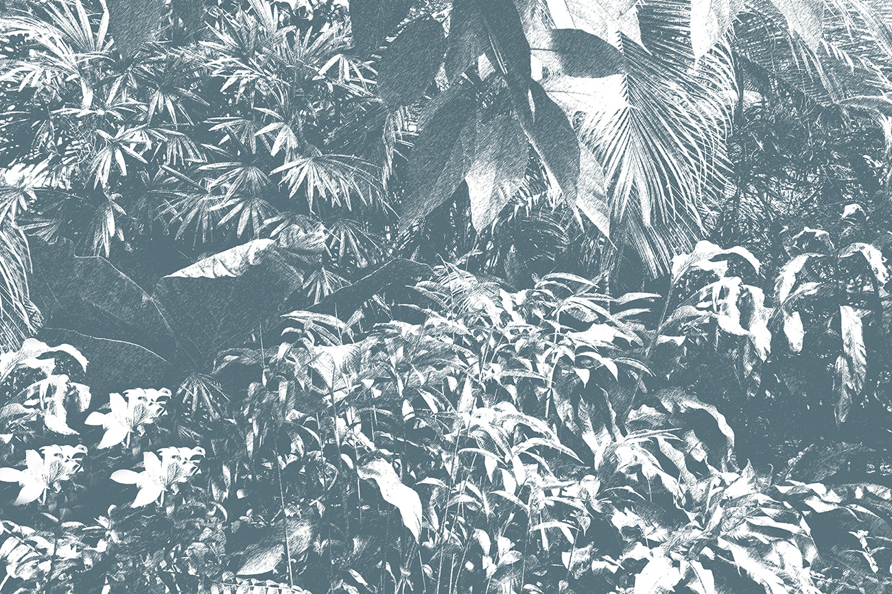 Carta da parati jungle blu e bianca con vegetazione tropicale e texture vintage