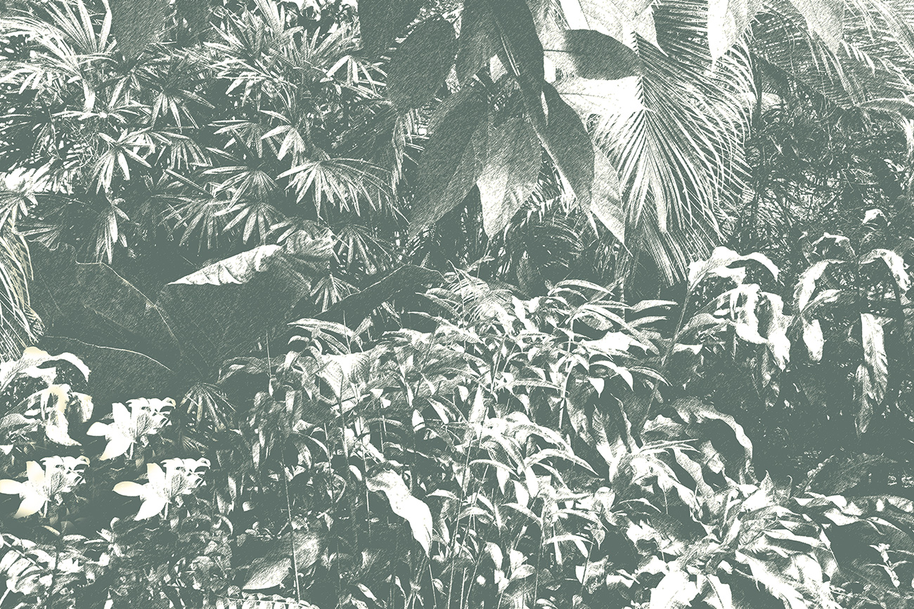 Carta da parati botanica verde e bianca con vegetazione tropicale e texture vintage