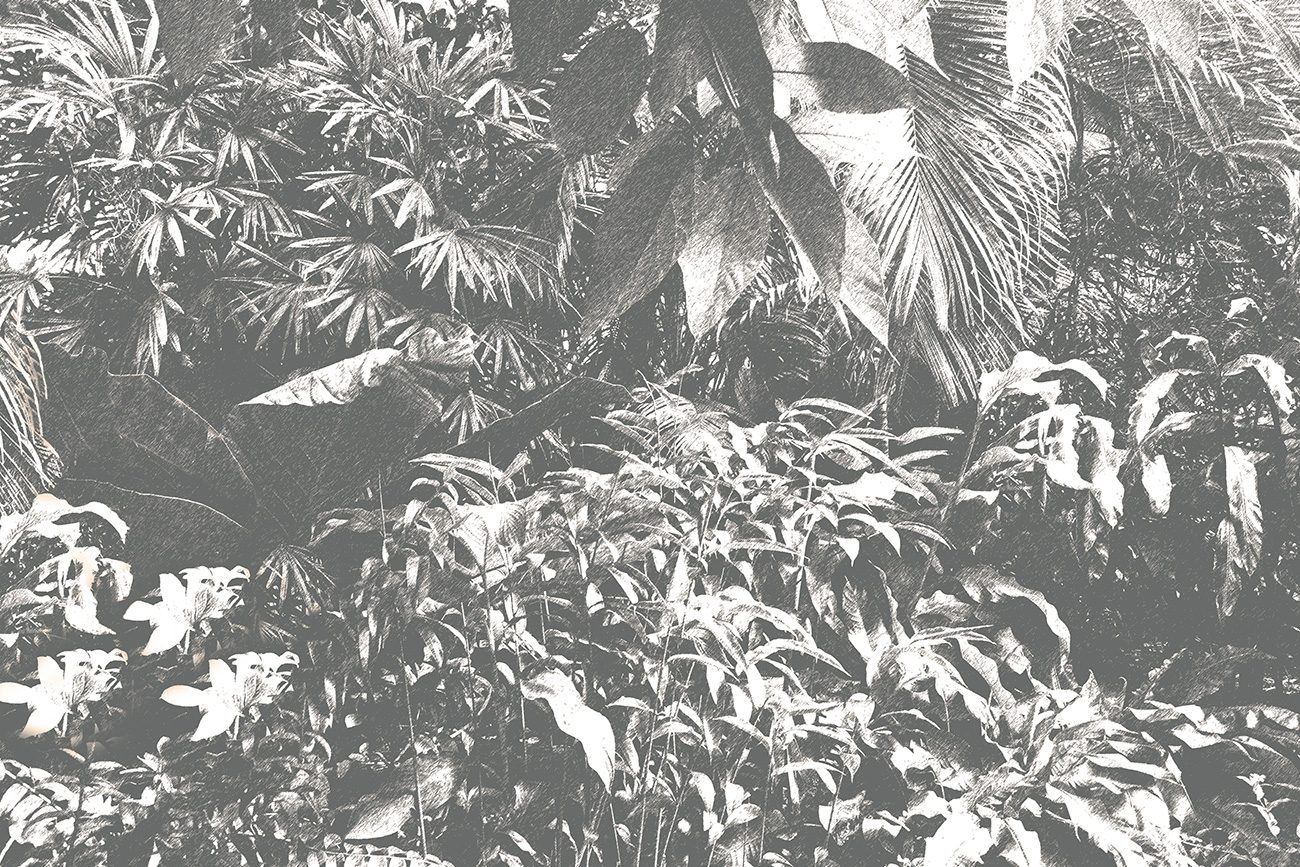 Carta da parati botanica tortora e bianca con vegetazione tropicale e texture vintage