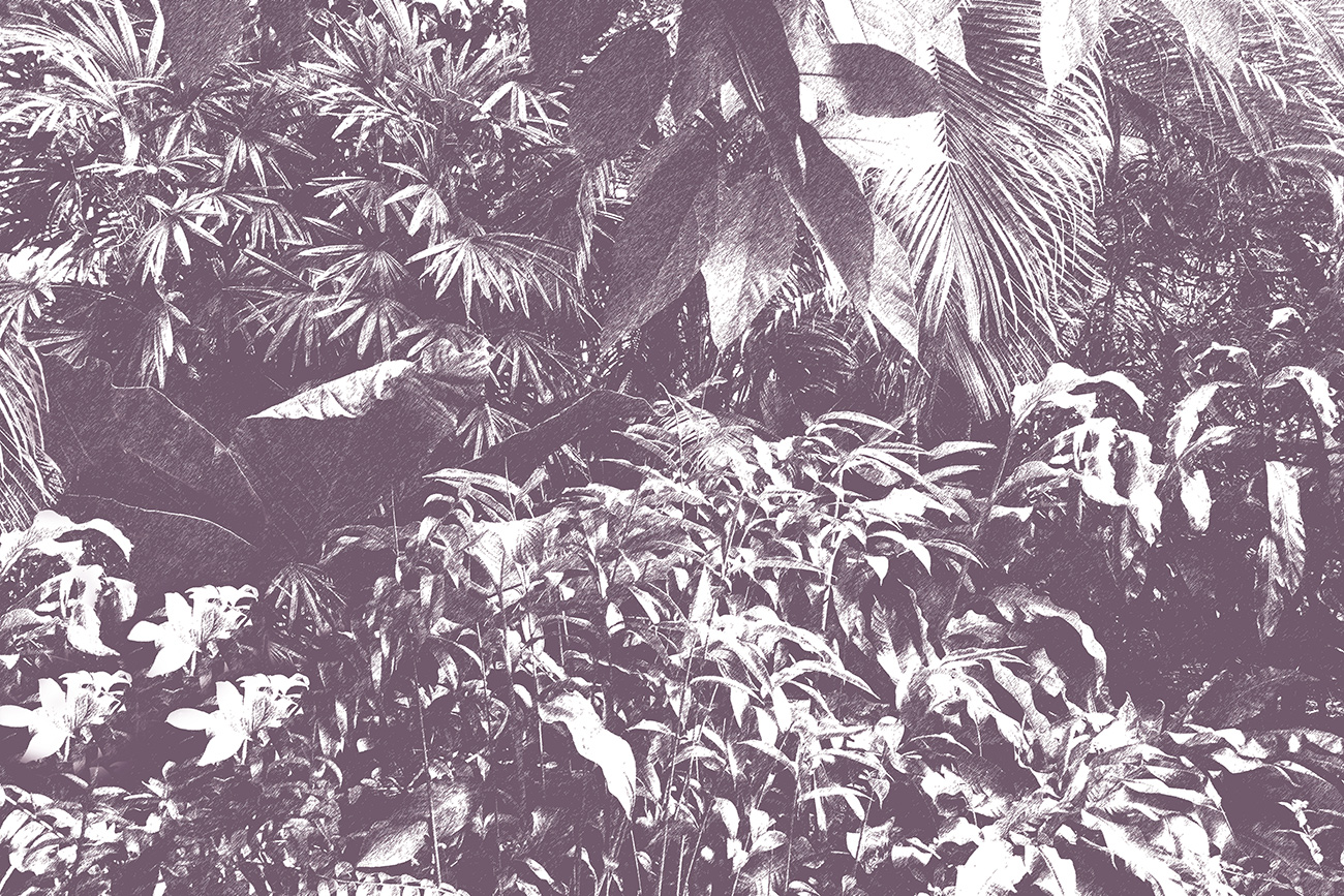 Carta da parati botanica viola e bianca con vegetazione tropicale e texture vintage