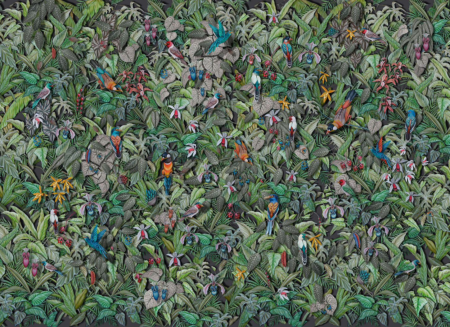 Jungle wallpaper with tropical vegetation, leaves, flowers and birds, hand painted.