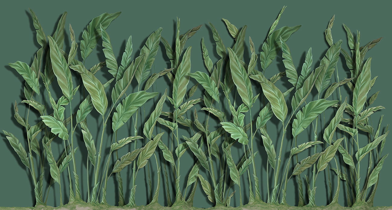 Tropical wallpaper with exotic banana leaves, hand painted realistic effect