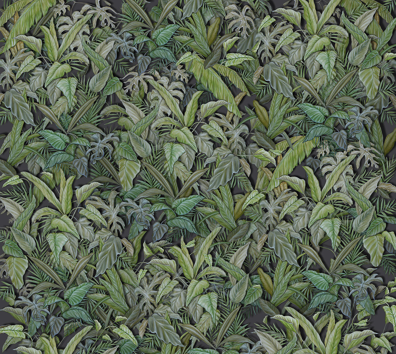 Carta da parati jungle, effetto 3d con composizione di foglie esotiche con vari toni di verde