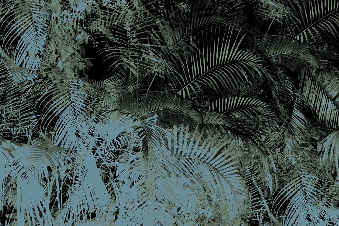 Carta da parati tropicale con foglie di palma di colore verde e grigio