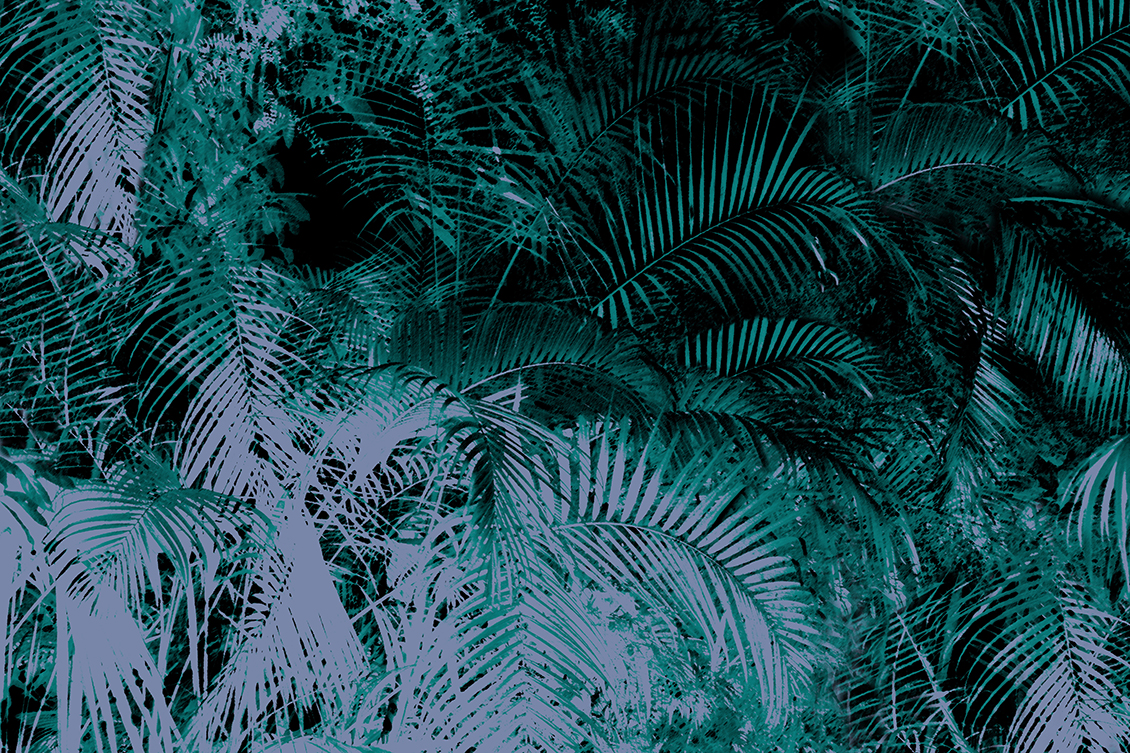 Carta da parati tropicale con foglie di palma di colore azzurro e verde