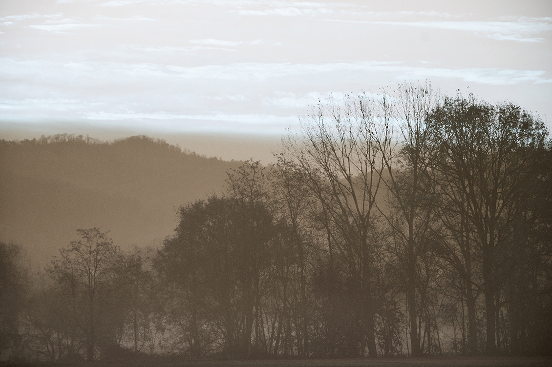 Naturalistic wallpaper depicting a landscape with trees in dove grey colours